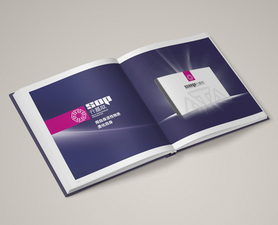 畫(huà)冊(cè)排版設(shè)計(jì) 元基企業(yè)房地產(chǎn)信息咨詢的品牌展示藝術(shù)